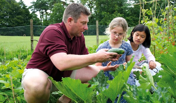 Food and Farming Activities