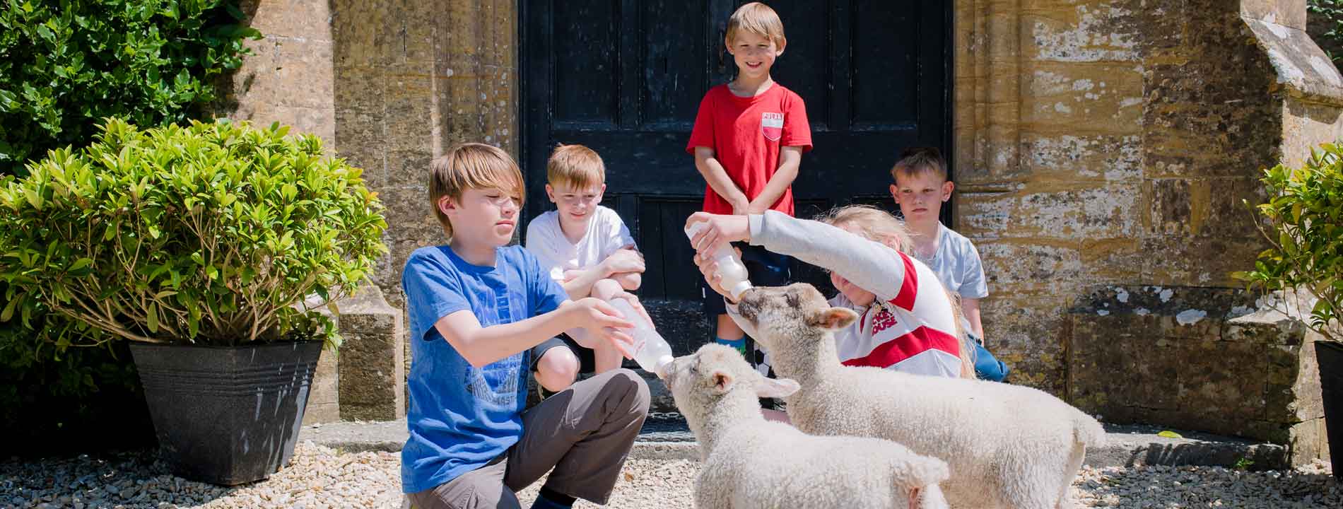Children bottle feeding Lambs at Hooke Court Dorset